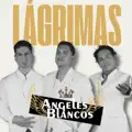 LÁGRIMAS