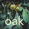 oak - Old Man Young LII lyrics