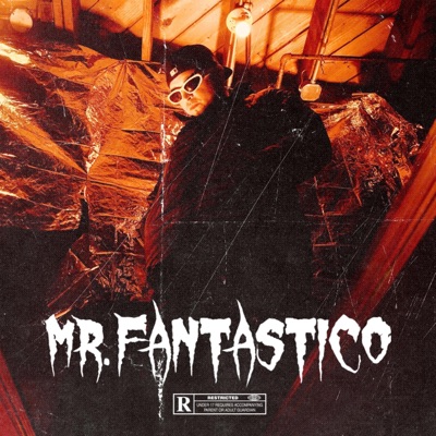 MR. FANTASTICO - Single