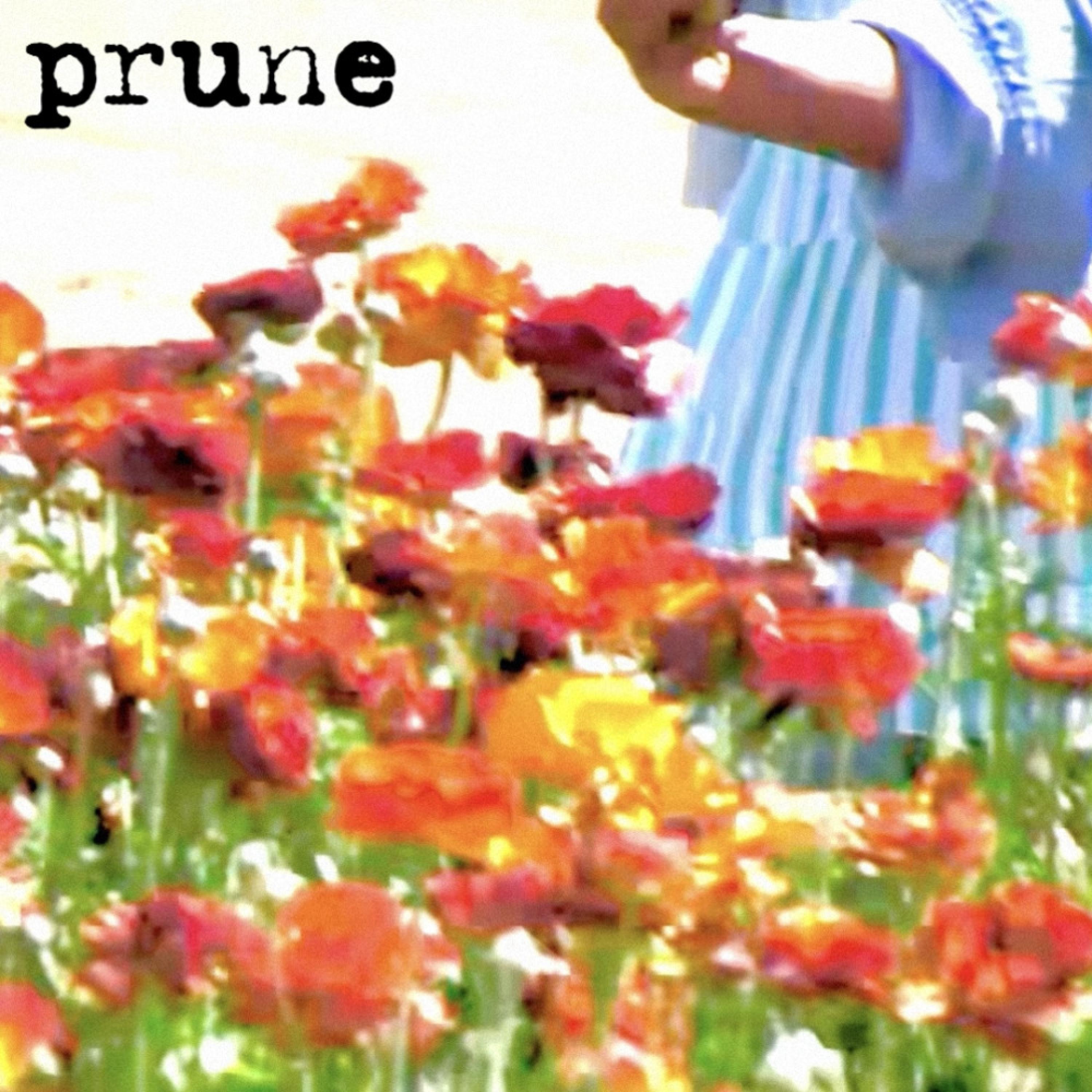 Im Sorry Ill Read That Again - Professor Prune And The Electric Time Trousers Part 01