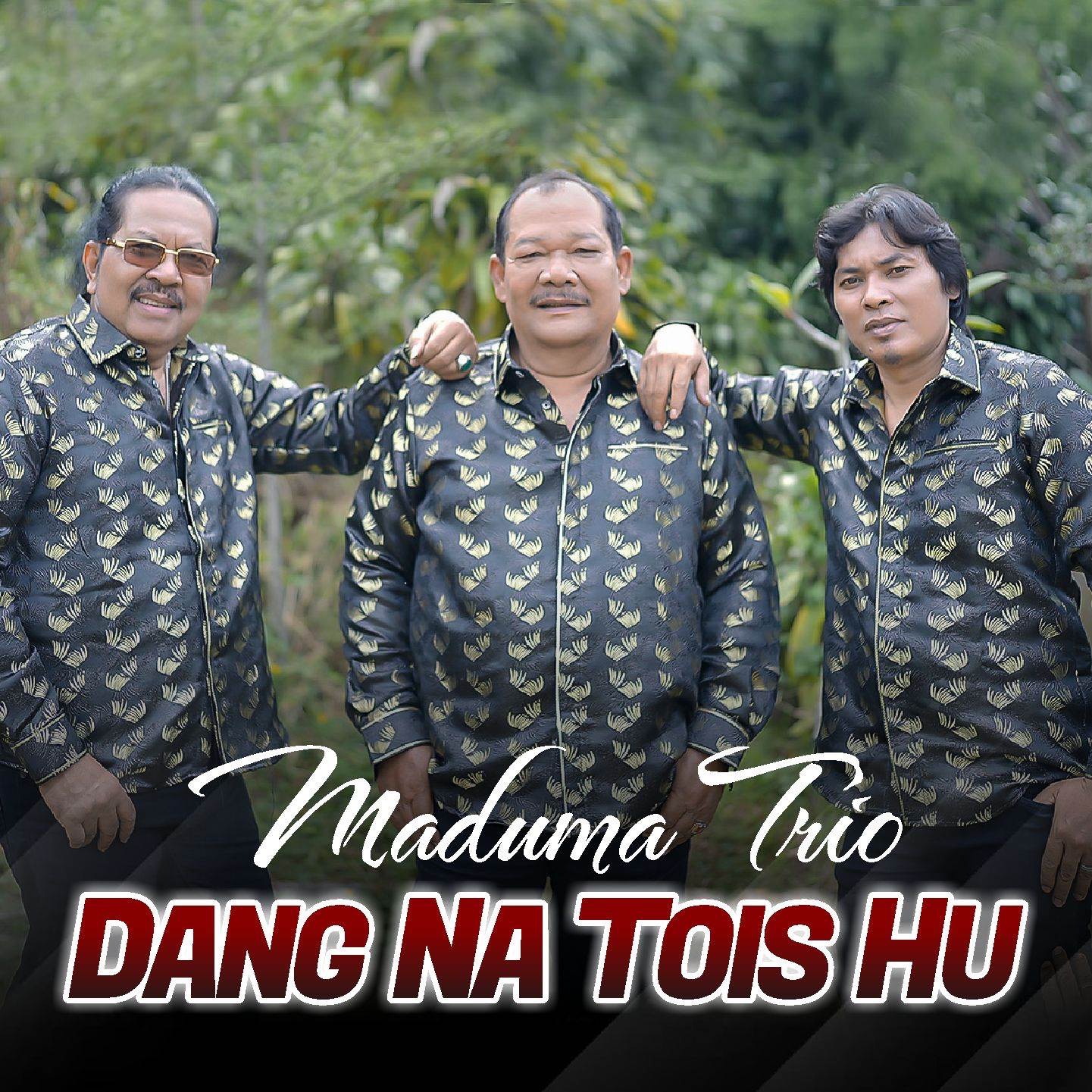 Dang Na Tois Hu - Single