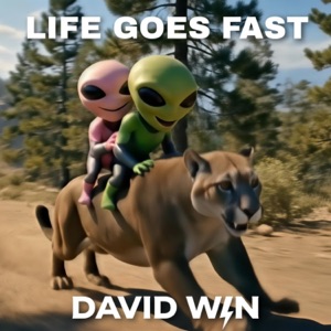 LIFE GOES FAST - Single