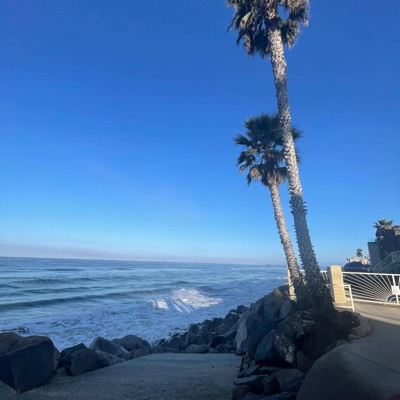 chasing dreams - Single