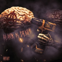 Black and Decker - Single - Malacarne & Frero