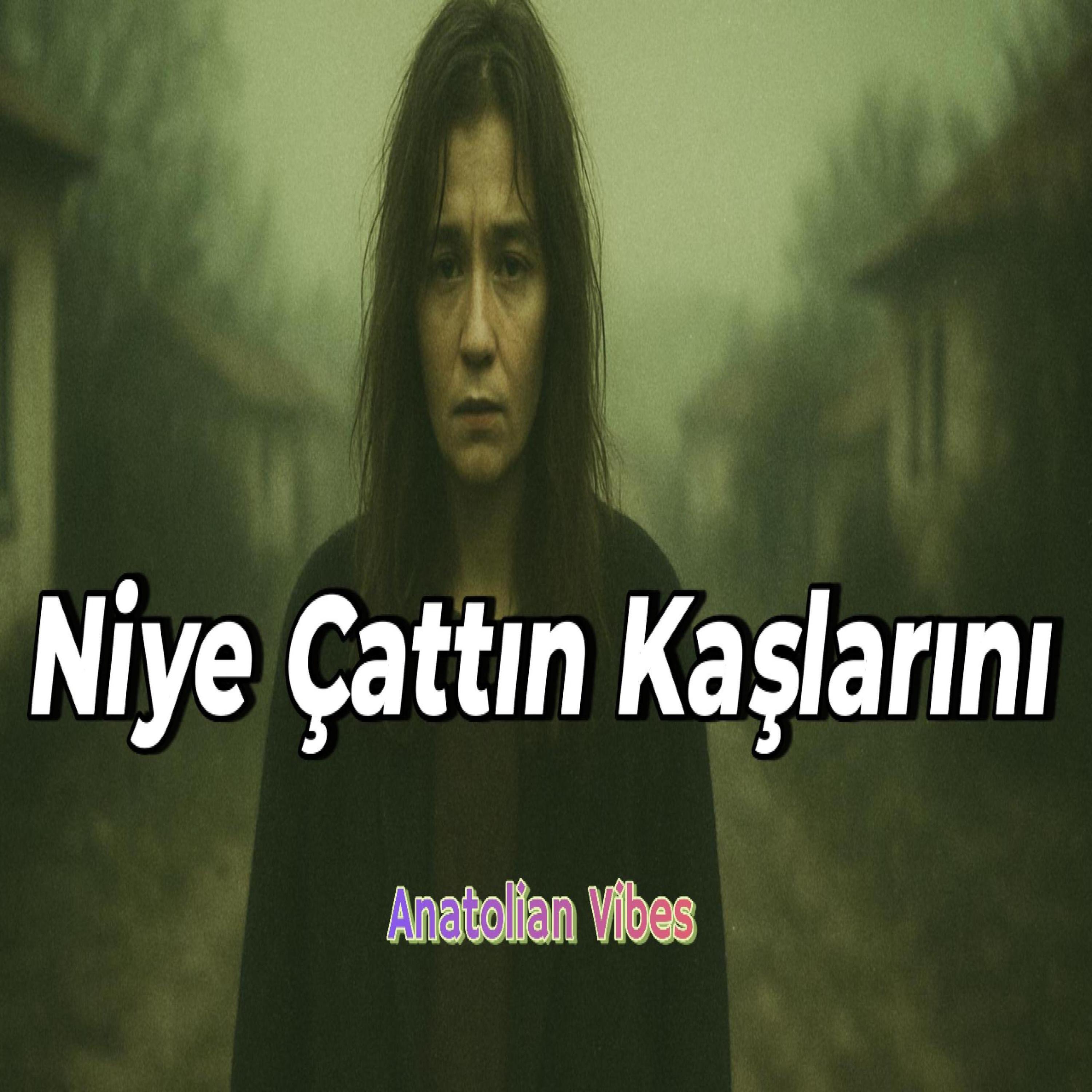 Niye Çattın Kaşlarını (Anatolian Folk Rock Version) - Single