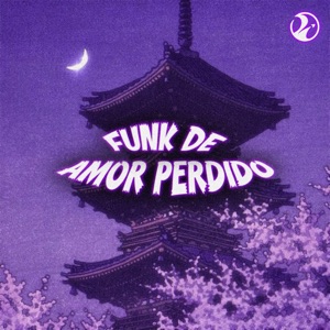 Funk de Amor Perdido - EP