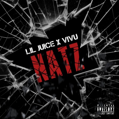 NATZ (feat. Lil Juice) - Single