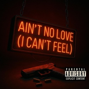 Ain't No Love (I Can't Feel)