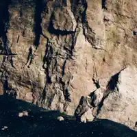 Stay Around — THE BAND FEEL