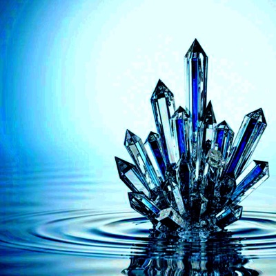 SHADOW (feat. vein17) - Single