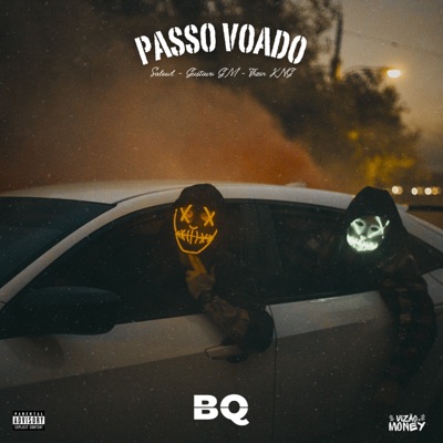 Passo Voado - Single
