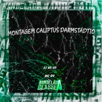 Montagem Caliptus Darmstadtio - Single - DJ WS 011 & MC DV