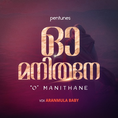 O Manithane (feat. Aranmula Baby) - Single