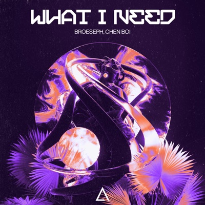 What I Need (Extended Mix) - Single