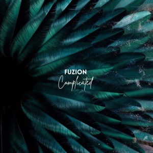 Complicated - Single