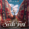 Burak Bulut - Sevda Treni artwork