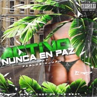 Activo Nunca en Paz - Single - Pablosinjuan