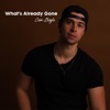 What's Already Gone - Single