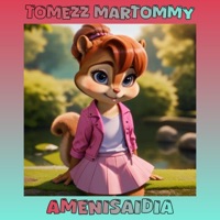 Amenisaidia - Single - Tomezz Martommy