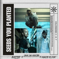 SEEDS YOU PLANTED - Single - Razzie, DrayDayMinistry & Mancito Telfort
