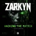 Hacking The Matrix