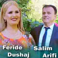 po du zemren me ta marr