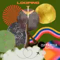 LOOPING