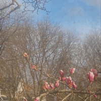 Seasons Change (feat. Djembe, Rhy & Kari) - Single - Grave