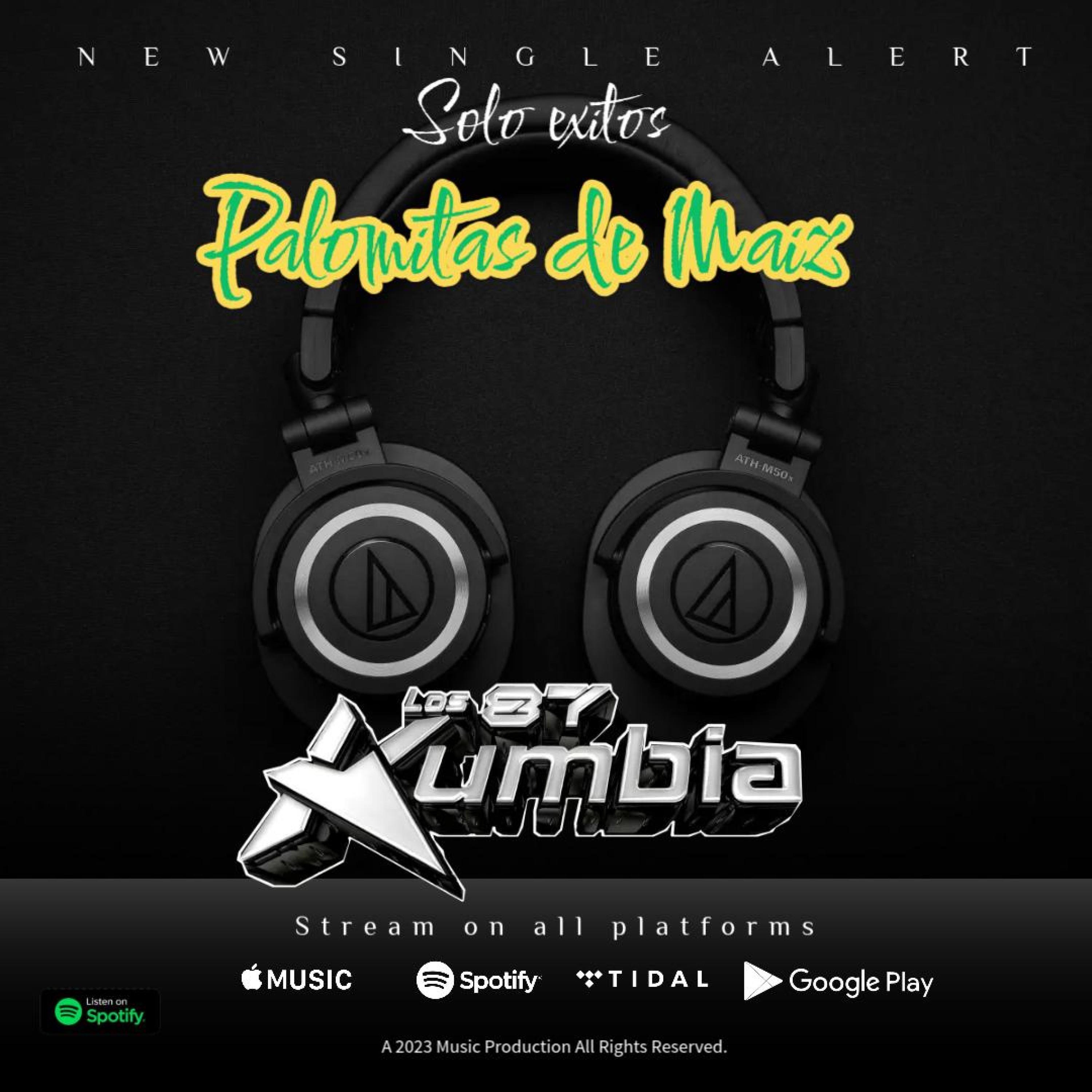 PALOMITAS DE MAIZ - Single