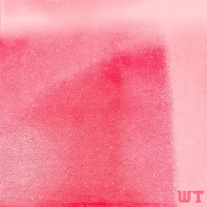 WT (feat. Drebock)