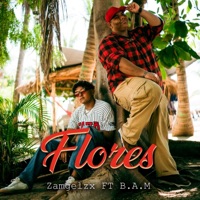 Flores (feat. B.A.M) - Single - Zamgelzx