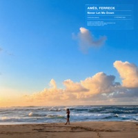 Never Let Me Down - Single - Amés & Ferreck