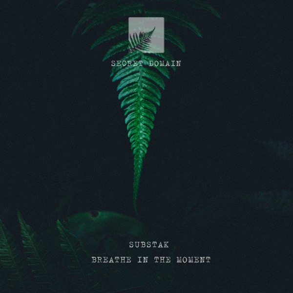 Breathe in the Moment