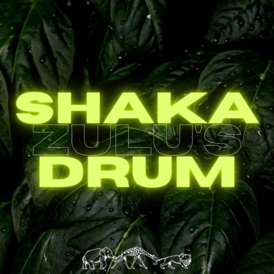 SHAKA ZULU'S DRUM (feat. D$L, Wonder J.R, Eitball, Dj Motari, Timothy Dylan, El & The Cee) - Single