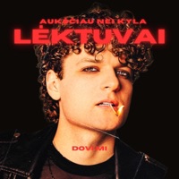 Auksciau Nei Kyla Lektuvai