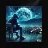 Good Vibes - Single - LA Grape Huncho
