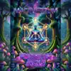 Focus On Acid