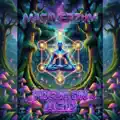 Focus On Acid