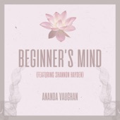 Beginner's Mind (feat. Shannon Hayden) artwork