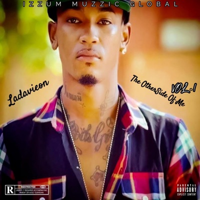 The OtherSide Of Me Vo.1 2017