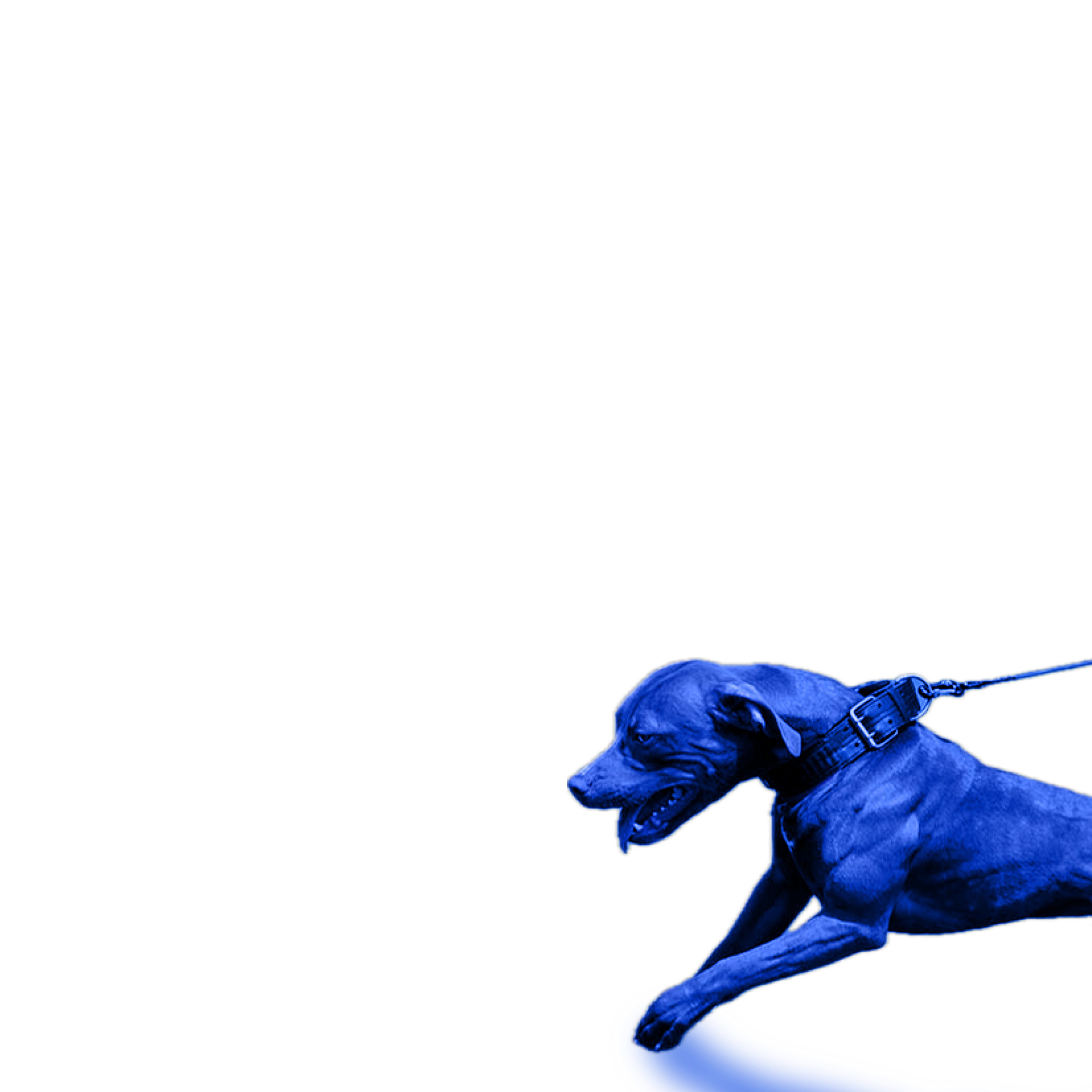 WE KNOW THE TRUTH - Single