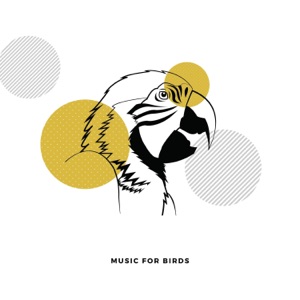 Music For Birds
