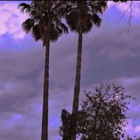 cuando se apagan las luces - Single - Blud