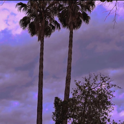 cuando se apagan las luces - Single