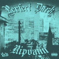 Perfect Dark - Single - RIPVANN