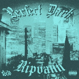 Perfect Dark RIPVANN