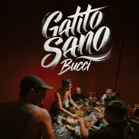 Gatito Sano - Single - BUCCI