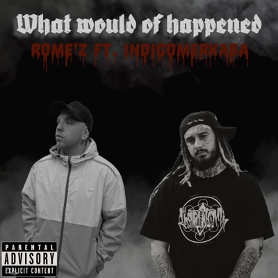 What Would Of Happened (feat. Indigomerkaba) - Single