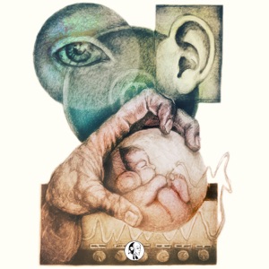 Lau - Single
