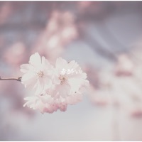 春酔い (feat. mai) - Single - Piellius